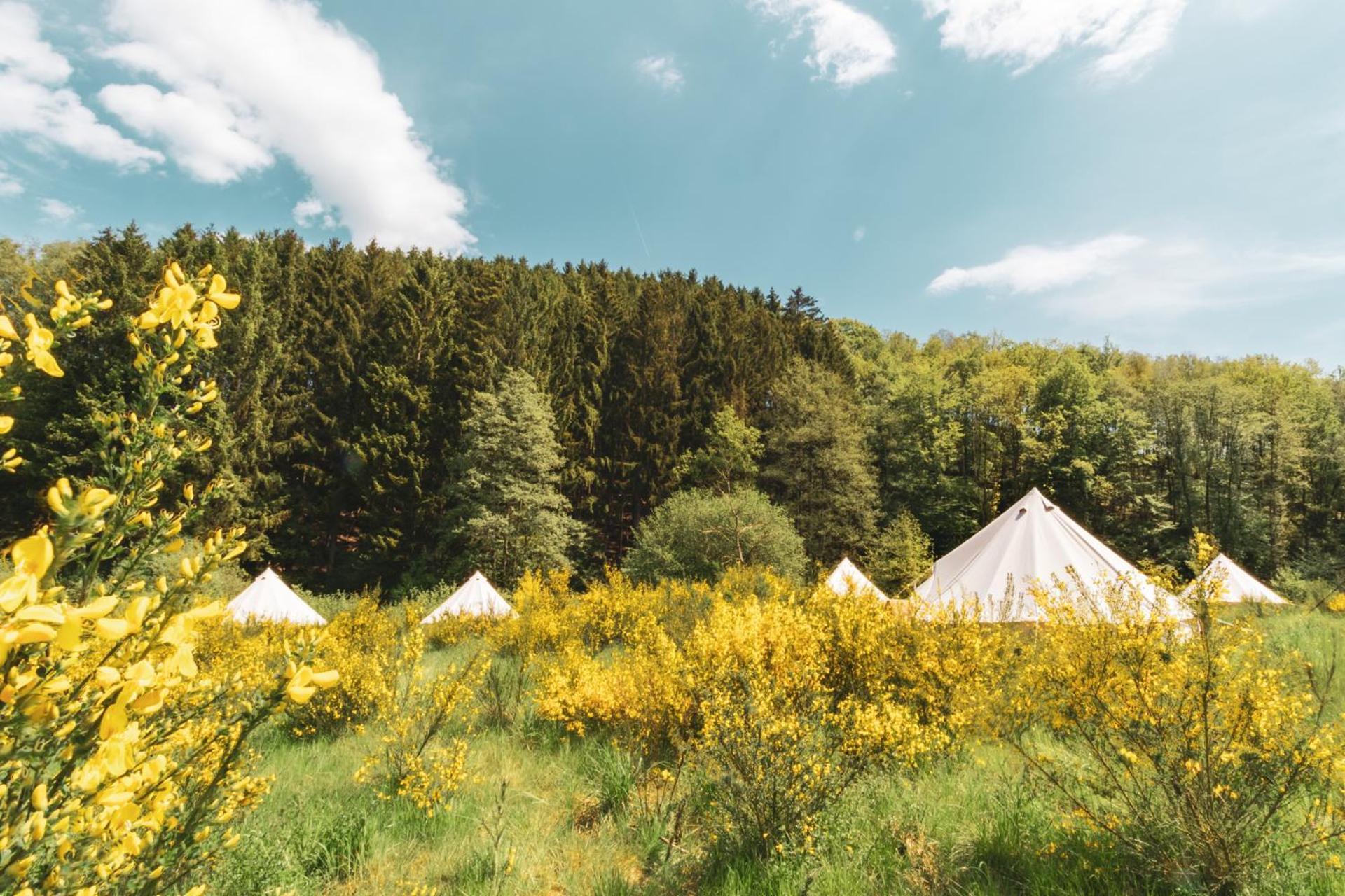 Daft Boutique Hotel & Glamping Malmedy Eksteriør bilde