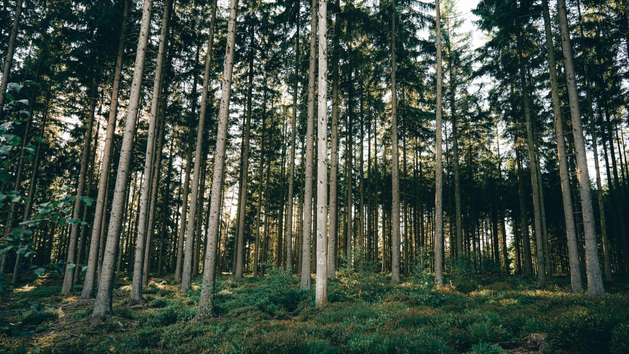 Daft Hotel & Glamping Malmedy Eksteriør bilde